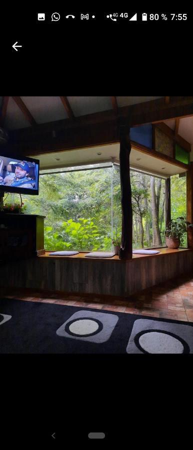Complejo Cabanas Petalos Villarrica Exterior photo