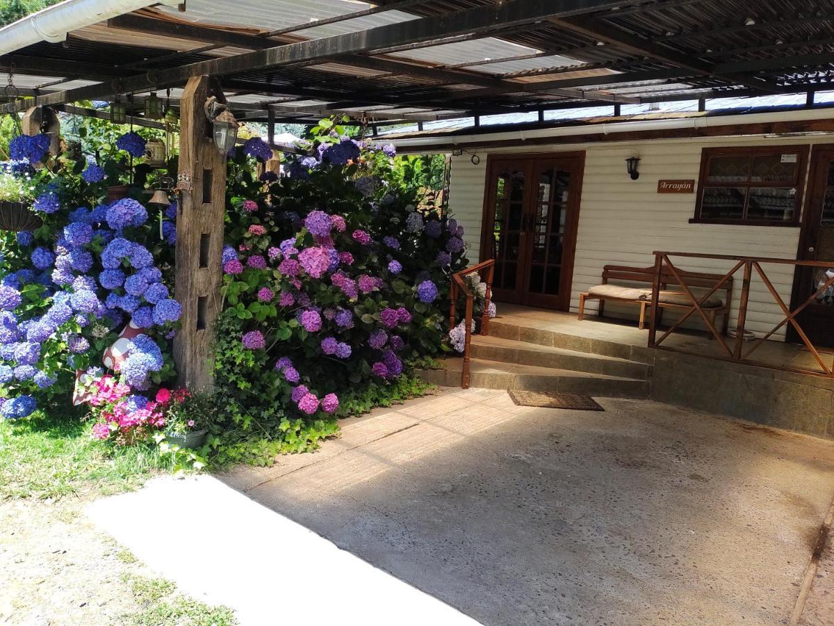 Complejo Cabanas Petalos Villarrica Exterior photo